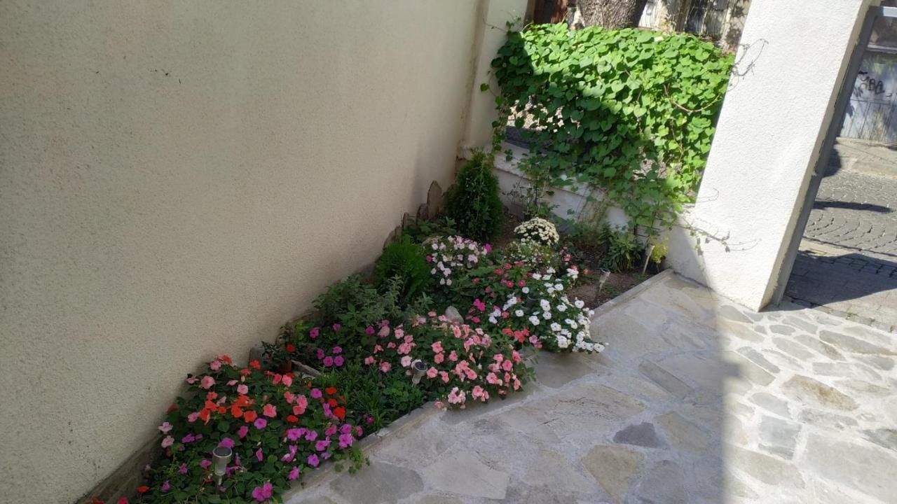 Гостевой дом MiRoom in the heart of Plovdiv Пловдив-5