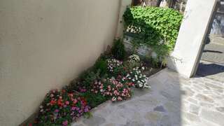 Гостевой дом MiRoom in the heart of Plovdiv Пловдив-1